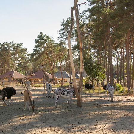Safari Resort Beekse Bergen ヒルヴァーレンベーク エクステリア 写真
