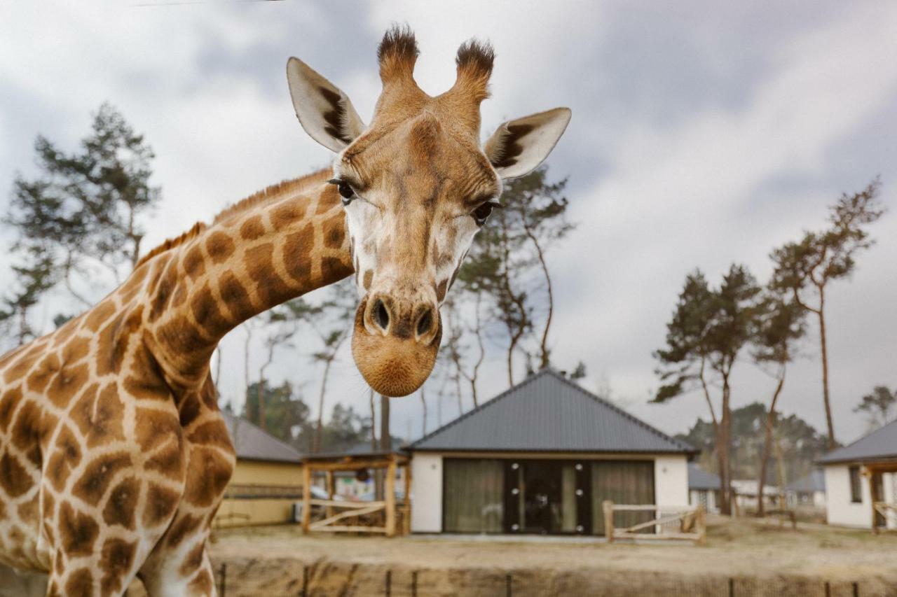 Safari Resort Beekse Bergen ヒルヴァーレンベーク エクステリア 写真