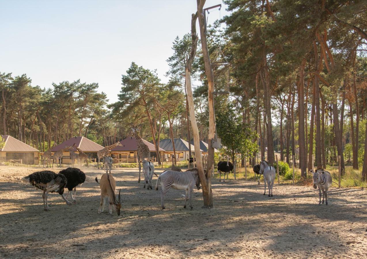 Safari Resort Beekse Bergen ヒルヴァーレンベーク エクステリア 写真