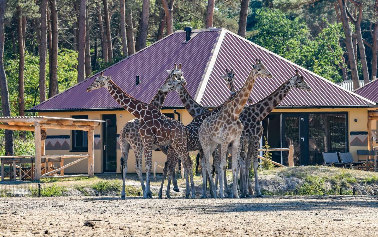 Safari Resort Beekse Bergen ヒルヴァーレンベーク エクステリア 写真