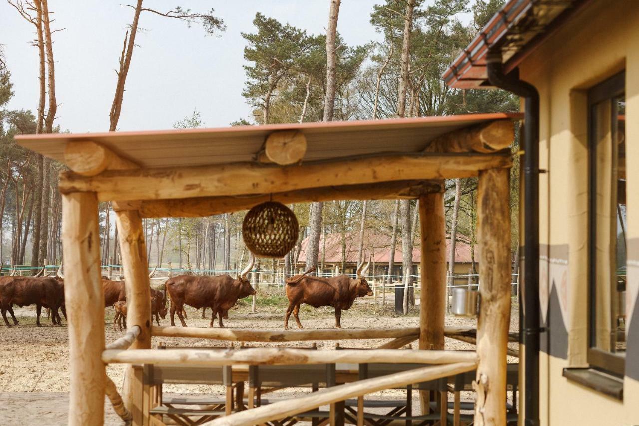Safari Resort Beekse Bergen ヒルヴァーレンベーク エクステリア 写真